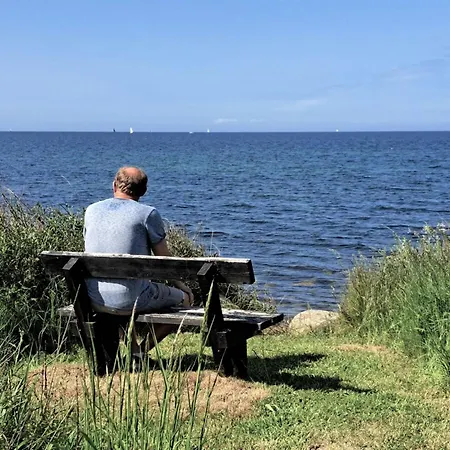 بيت للعطل Faina - 100m From The Sea By Interhome Nordenbro Vesteregn